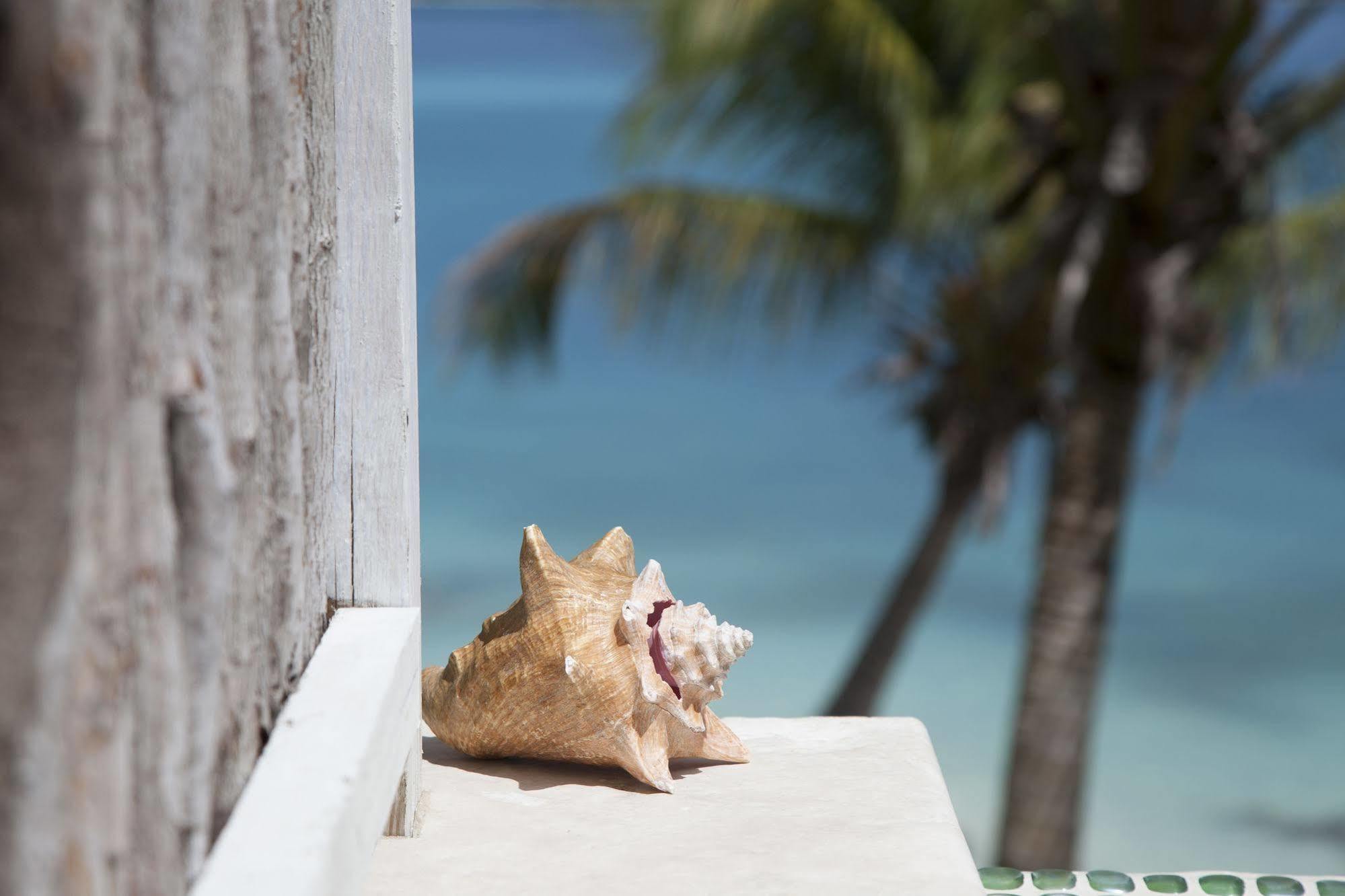 Cocobay Resort Antigua (Adults Only) Johnson's Point Luaran gambar